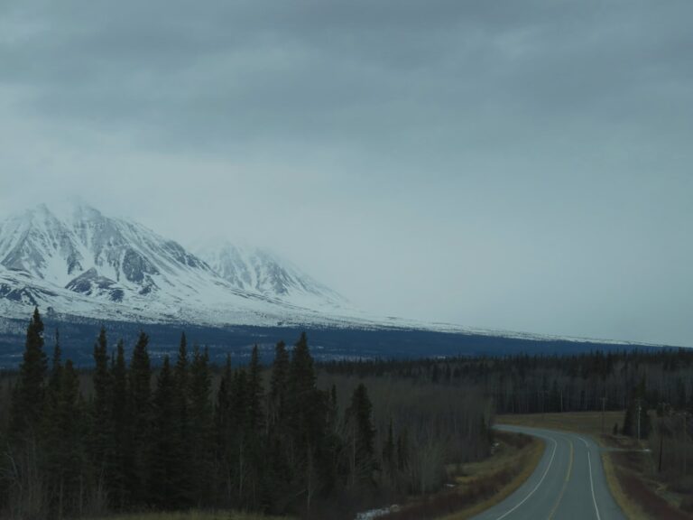 Uma Estrada Com Arvores E Montanhas Ao Fundo bqgBGSF4 Uk